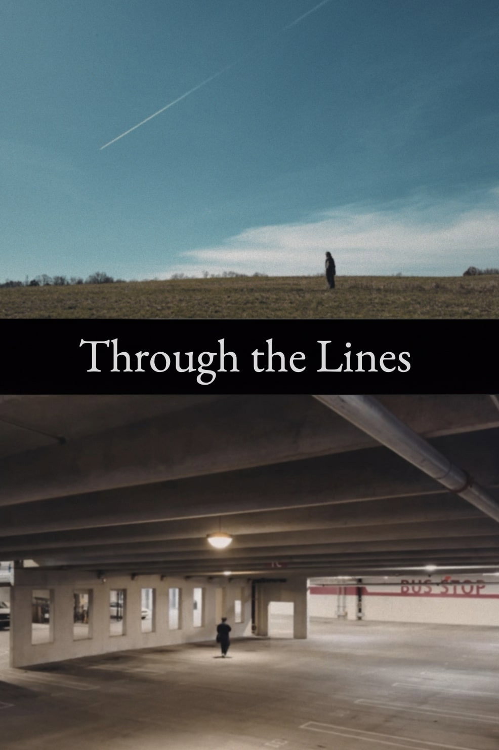 Through the Lines