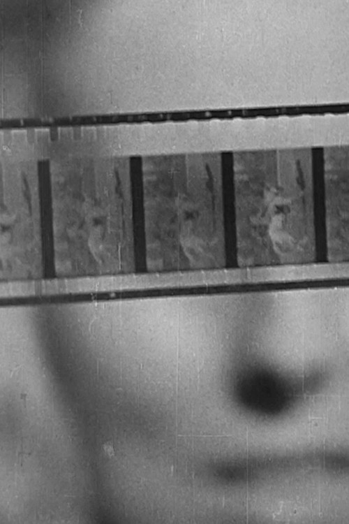 The Birth of Cinema