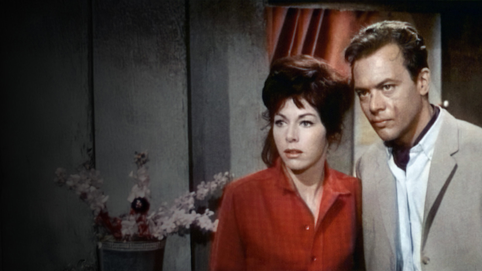 Hong Kong Hot Harbor