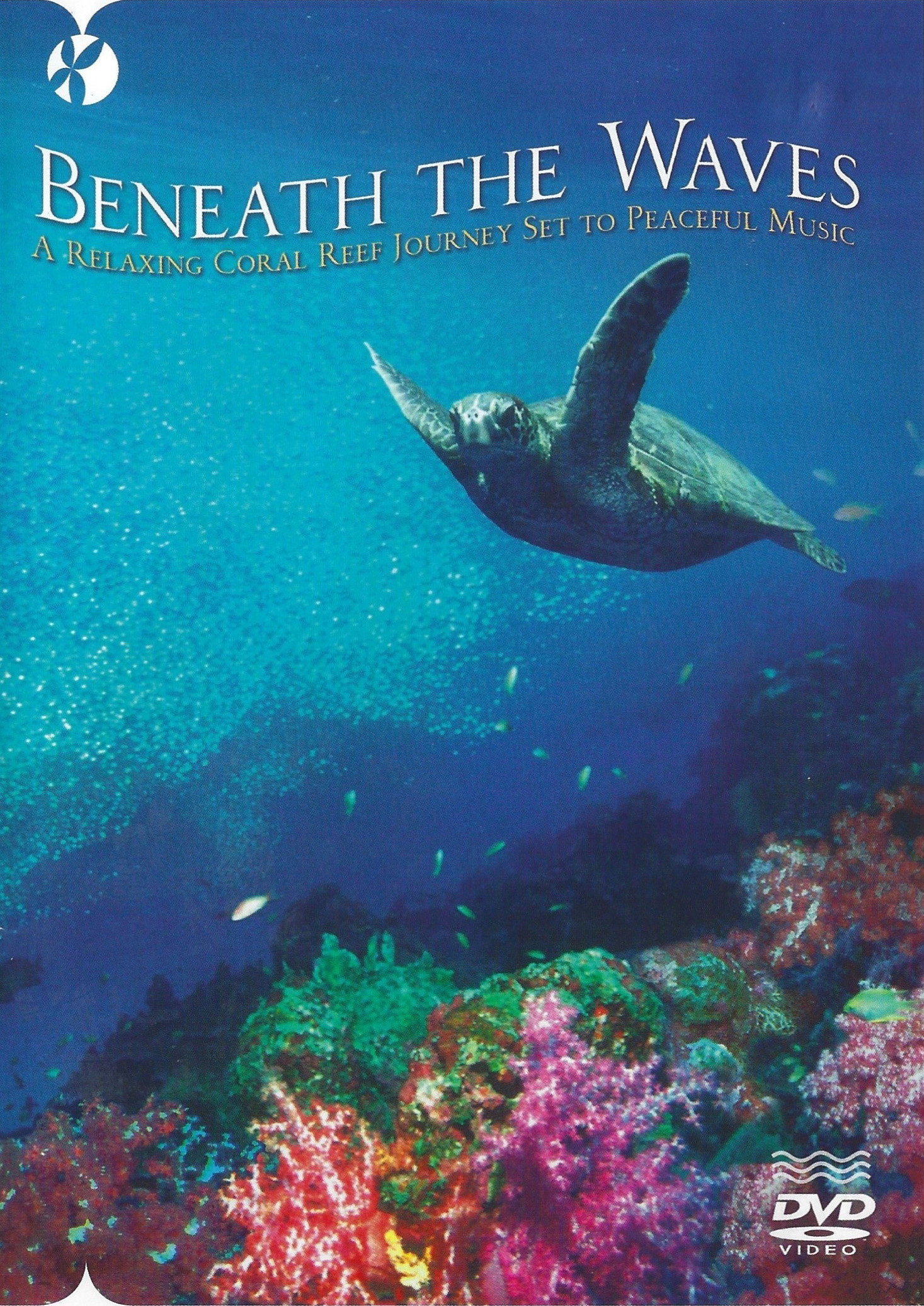 Beneath the Waves