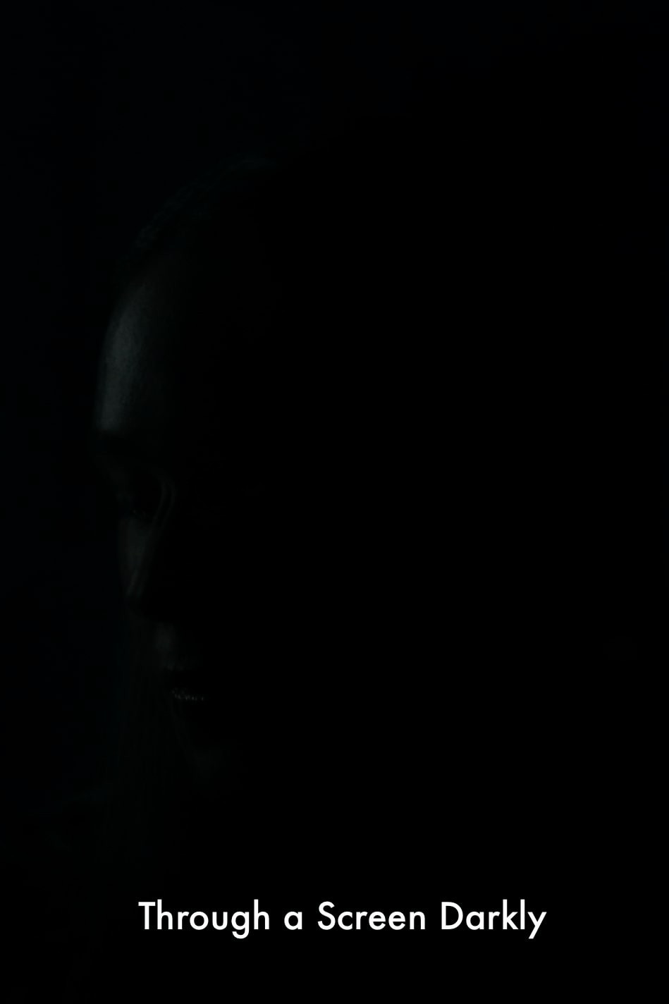 Through a Screen Darkly