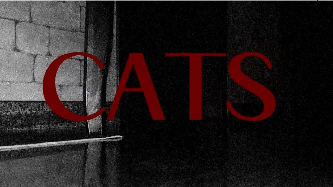 CATS
