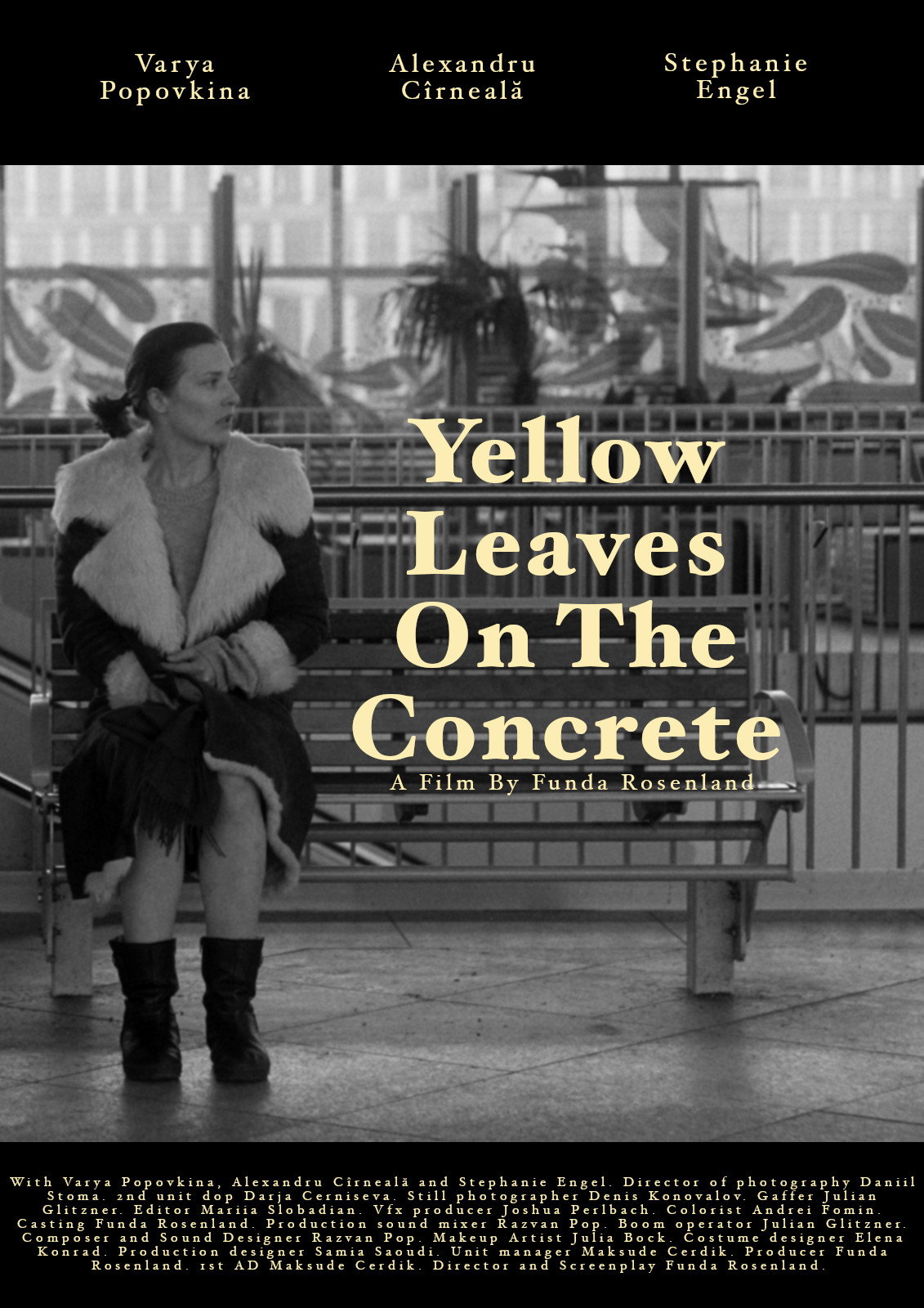 Yellow leaves on the concrete
