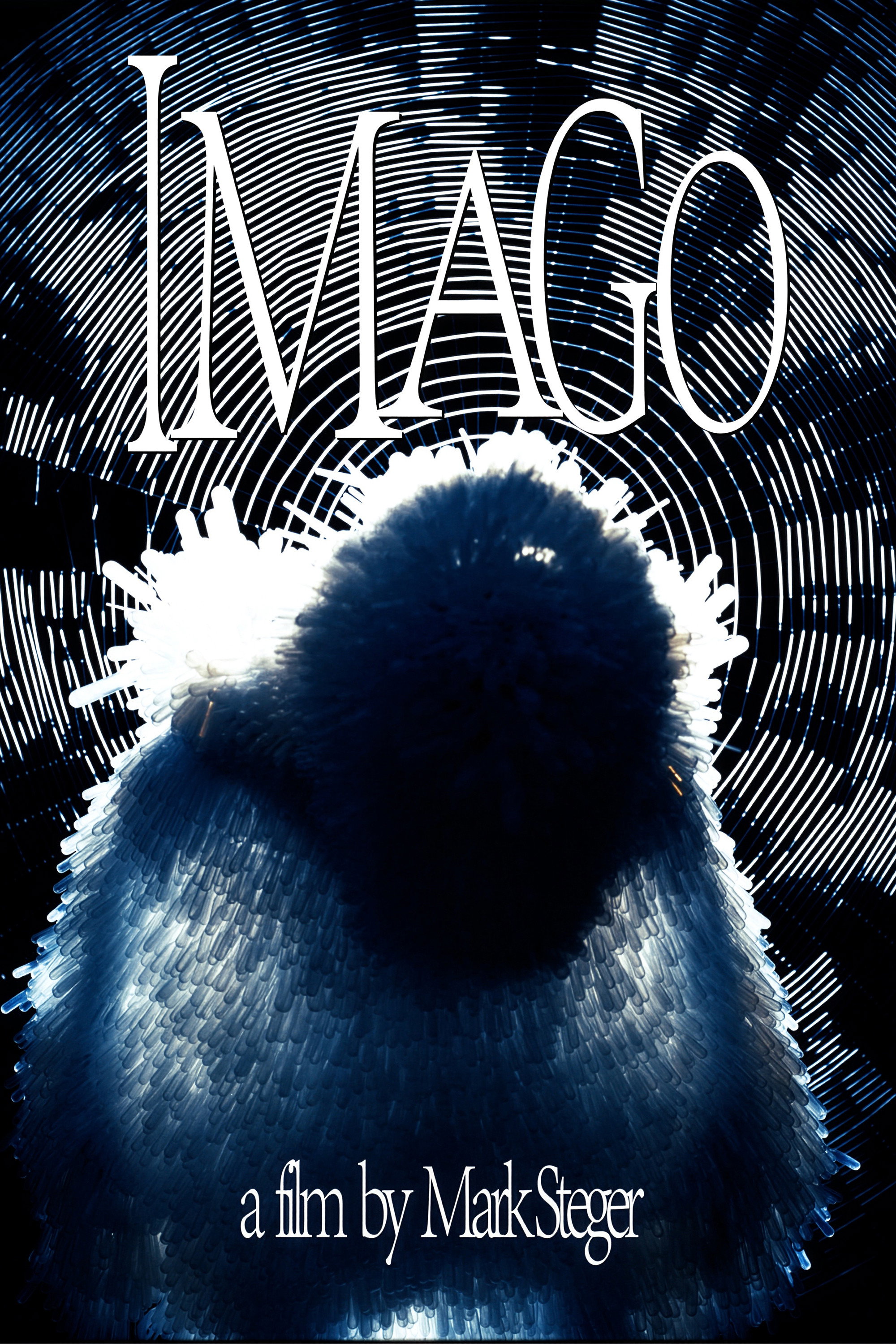 Imago
