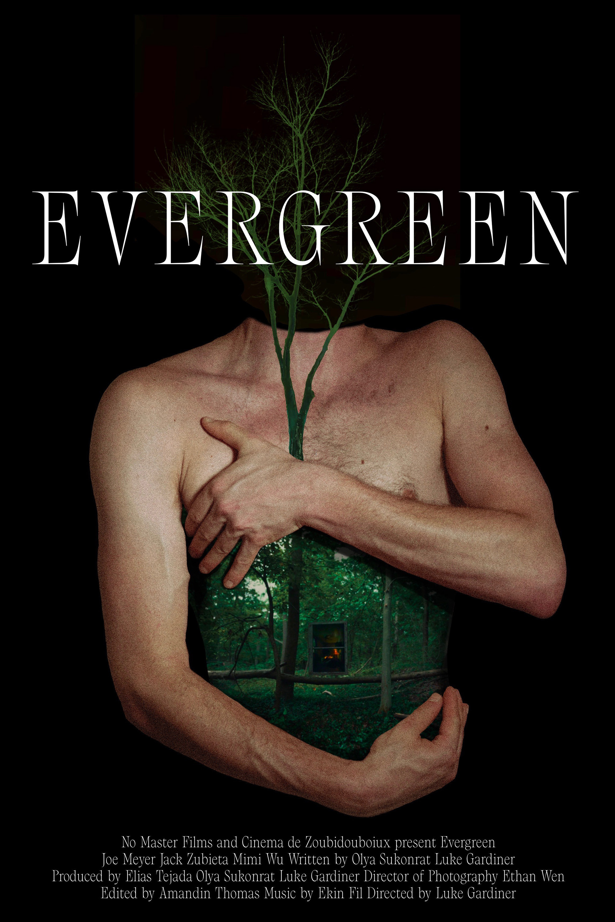 Evergreen