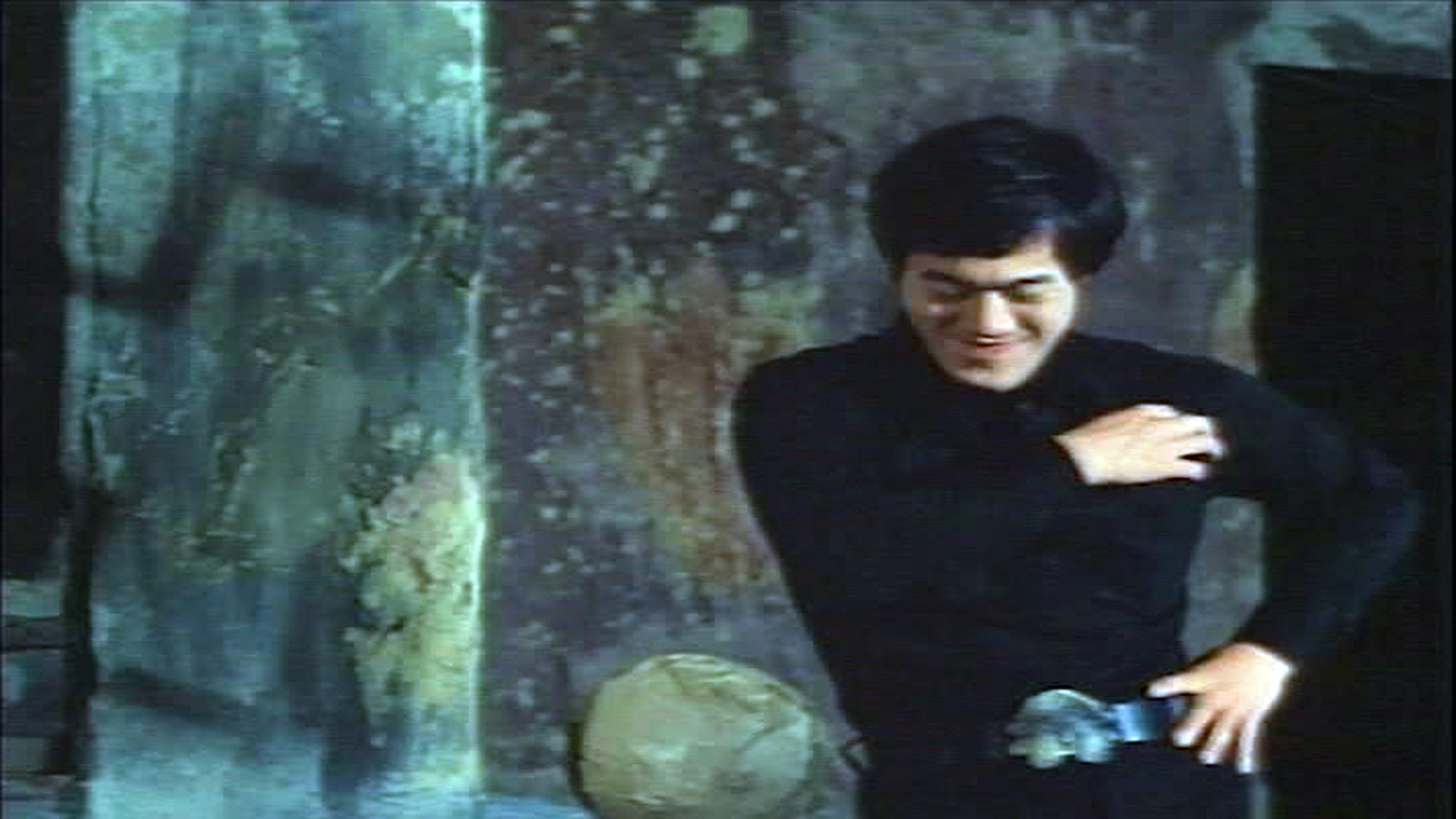 Fists of Bruce Lee