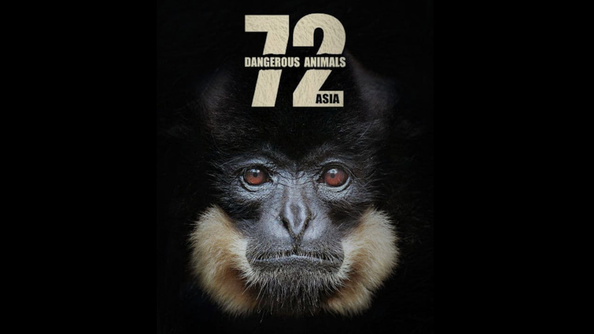 72 Dangerous Animals: Asia