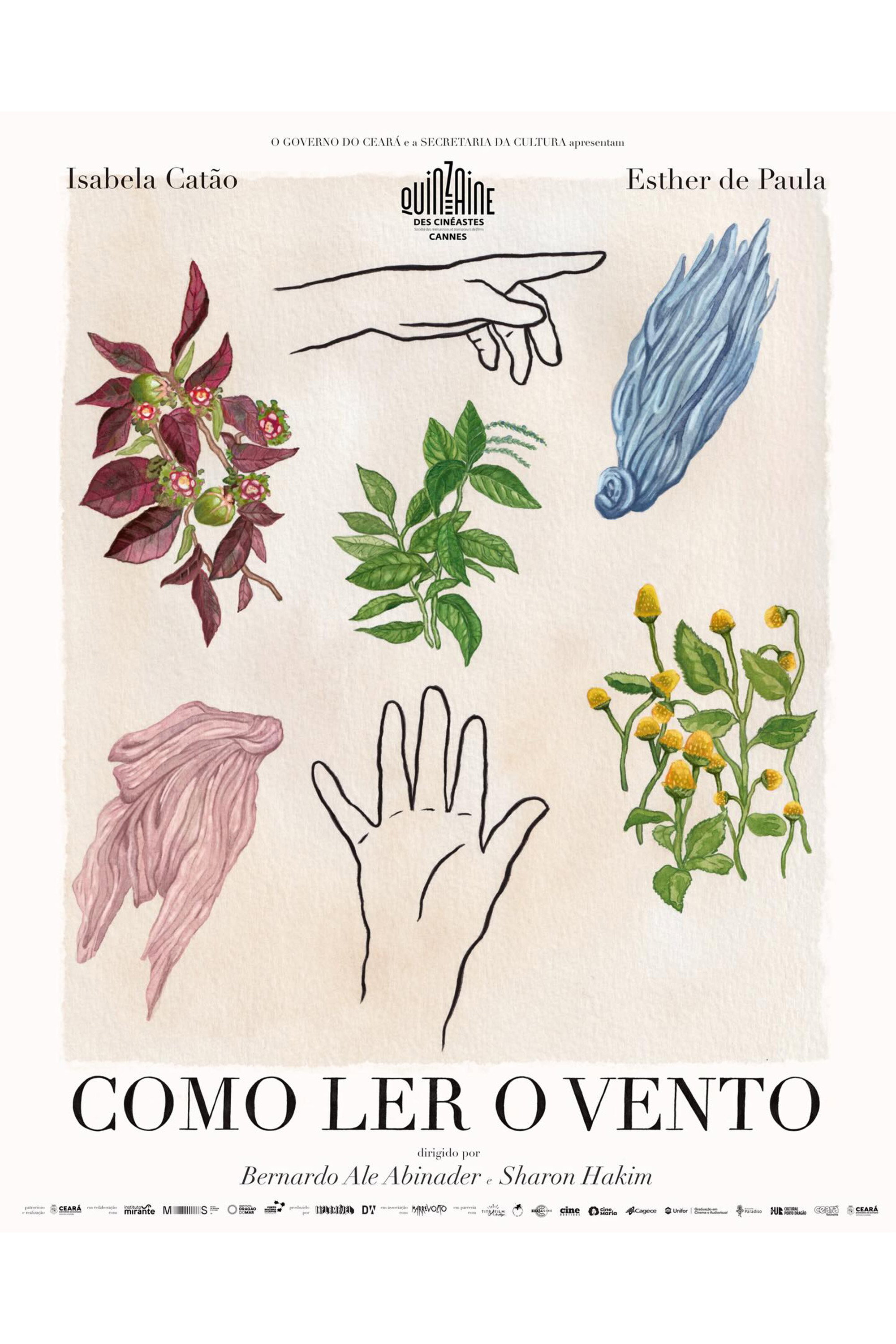 Como Ler o Vento