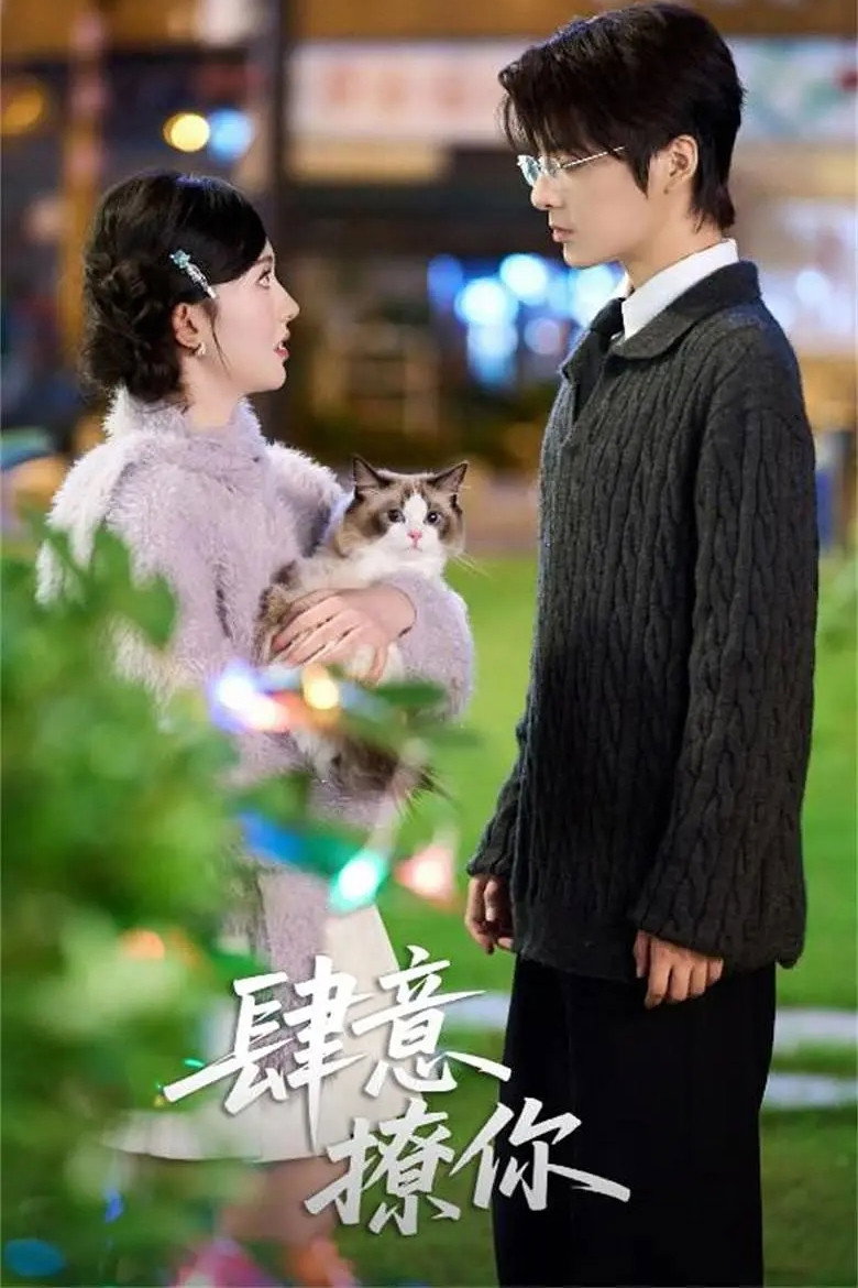 肆意撩你