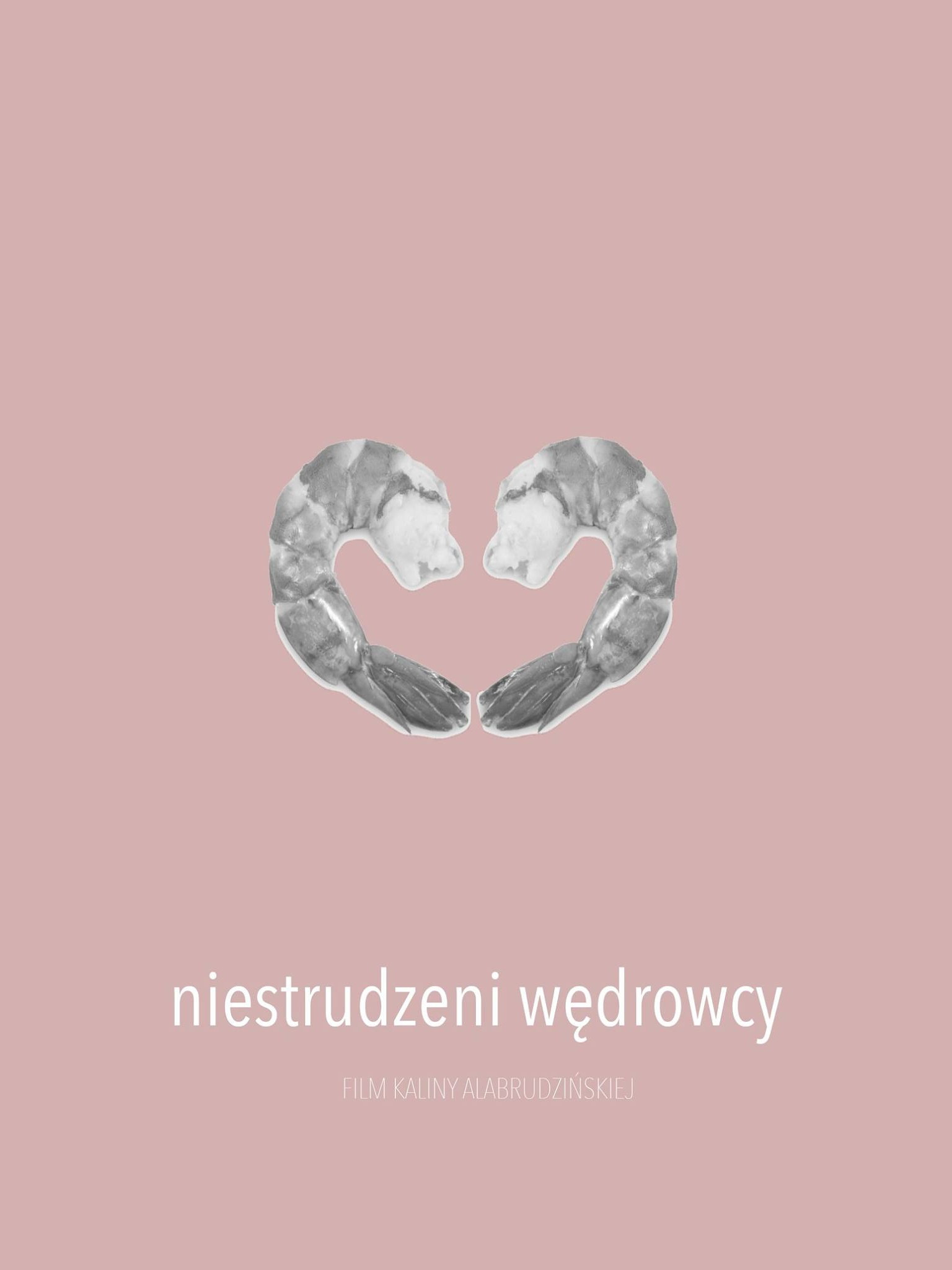 Niestrudzeni wędrowcy