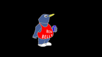 Red Belly Productions