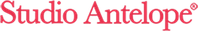 Studio Antelope