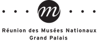Rmn-GP