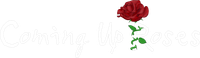 Coming Up Roses