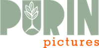 Purin Pictures