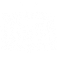 Little Big Films