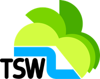 Television South West