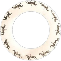 36 Caballos