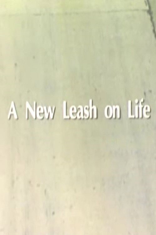 A New Leash On Life