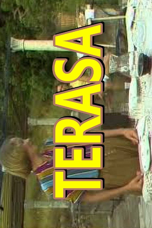 The Terrace