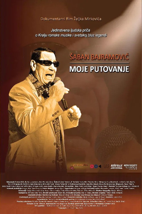 Saban Bajramovic - My Journey