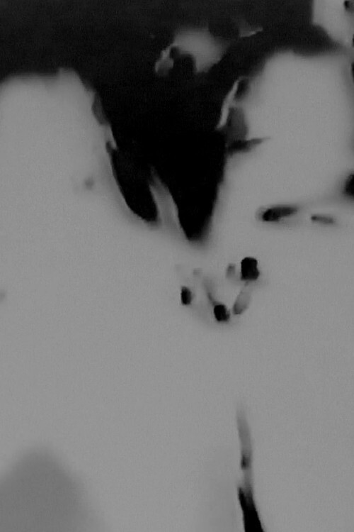 Witches Walk Monochrome