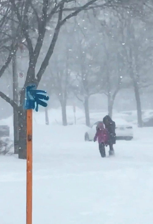 Tormenta de nieve