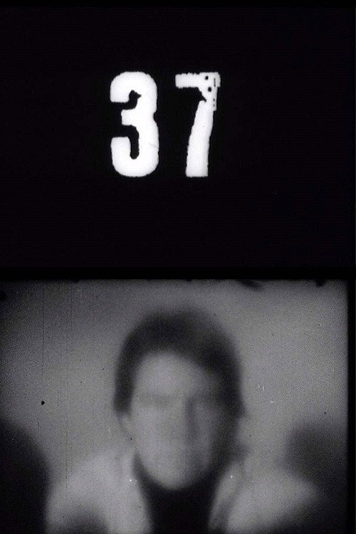 Fluxfilm No. 37
