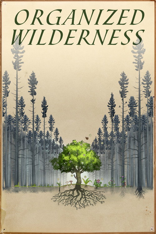 Organized Wilderness