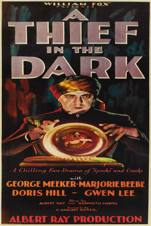 A Thief in the Dark