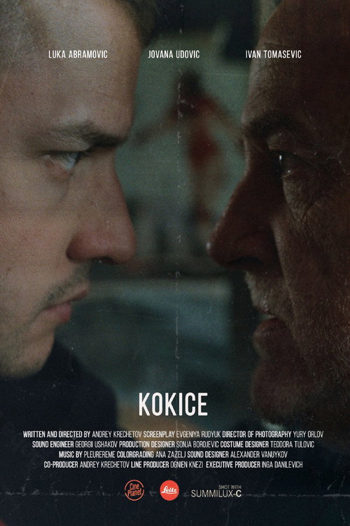 Kokice