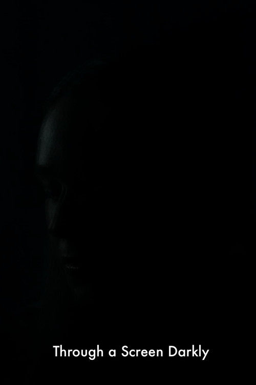 Through a Screen Darkly