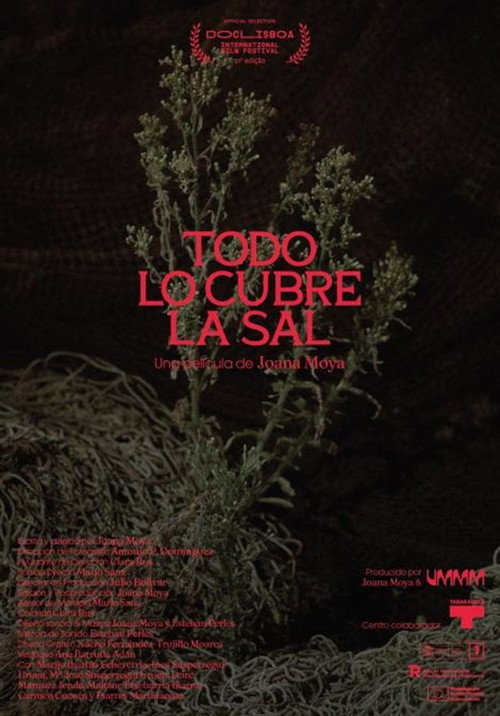 Todo lo cubre la sal