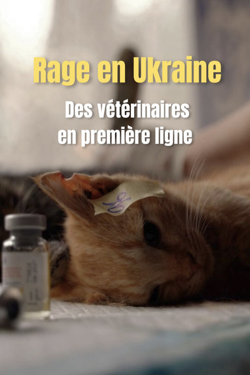 Rage en Ukraine : des vétériaires en première ligne