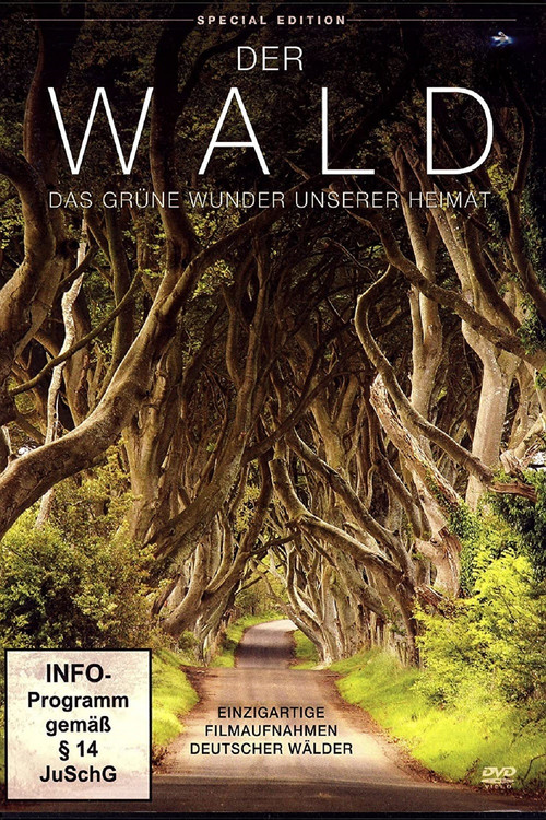 Der Wald - Das gruene Wunder unserer Heimat