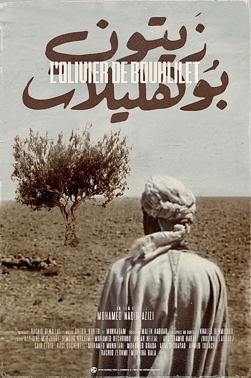 The Olive Tree of Boul'hivet