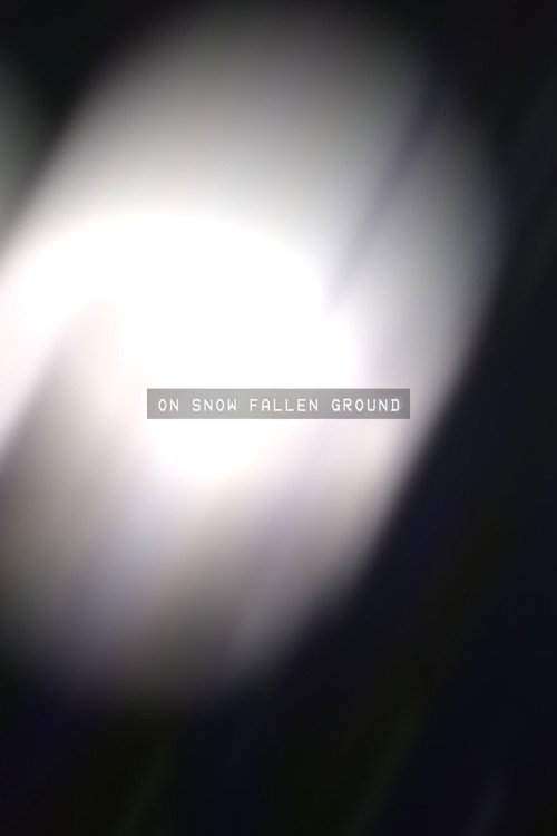 On Snow Fallen Ground
