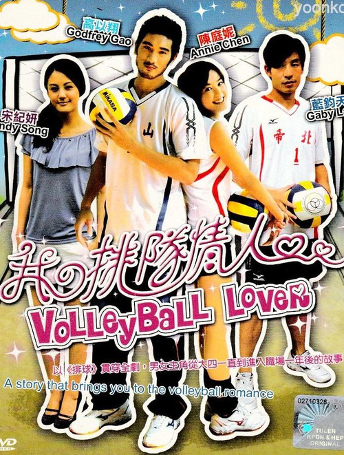 Volleyball Lover
