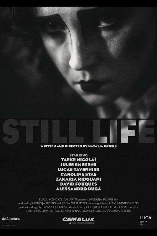 Still Life