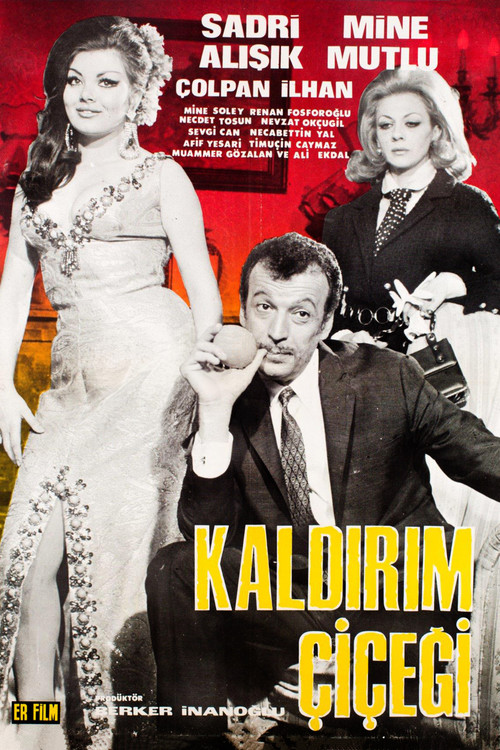 Kaldırım Çiçeği