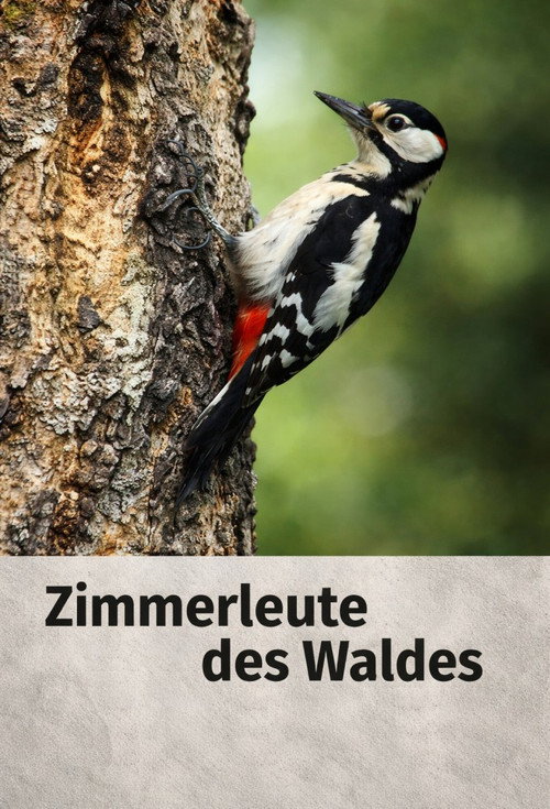 Woodpecker