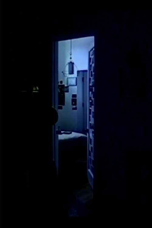 memory consolidation 02