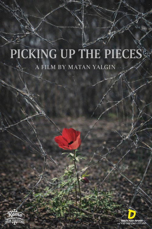 Picking Up the Pieces