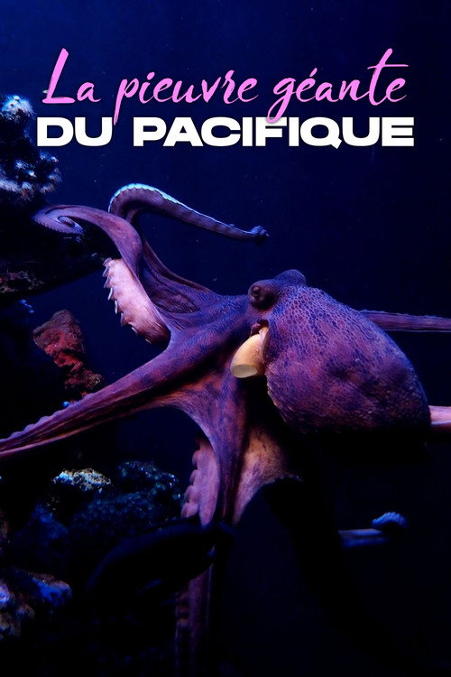 Rendezvous mit Riesenkraken - Die Geschichte von Ellie