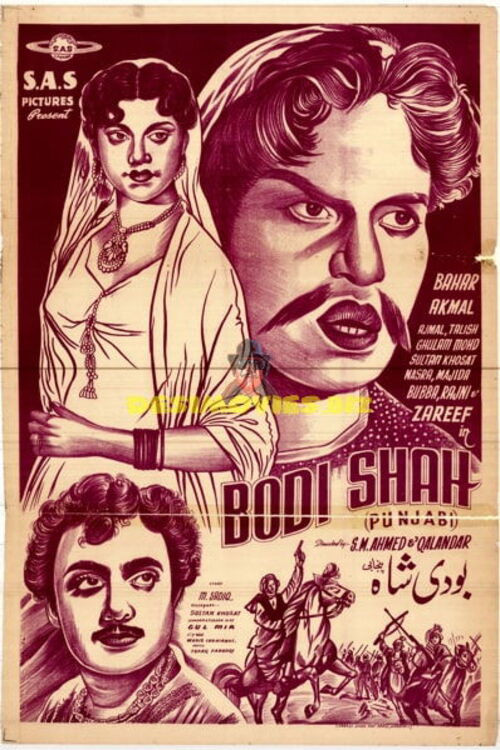 Bodi Shah