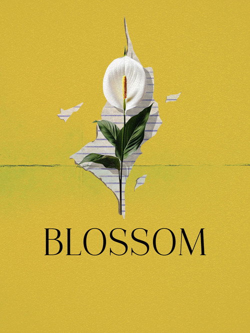 Blossom