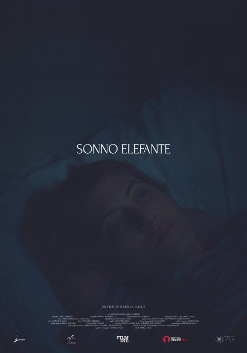 Sonno Elefante