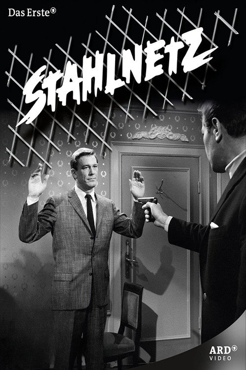 Stahlnetz