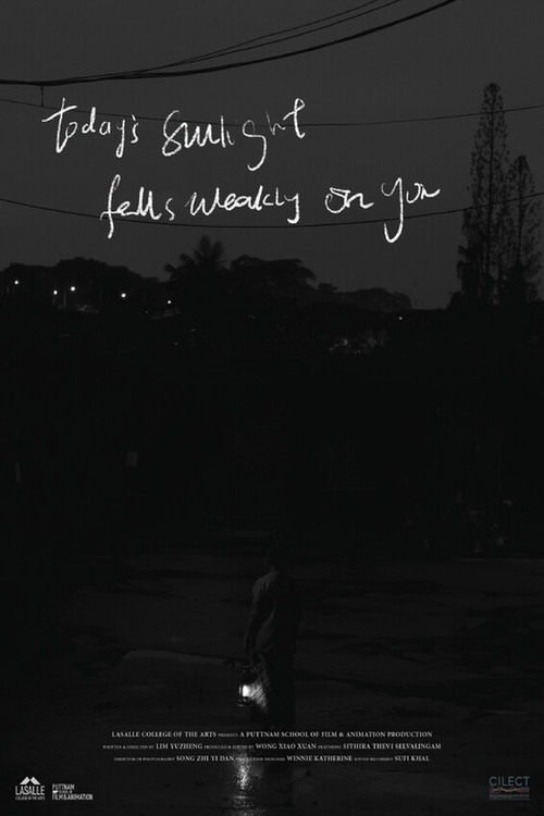 Today's Sunlight Falls Weakly on You