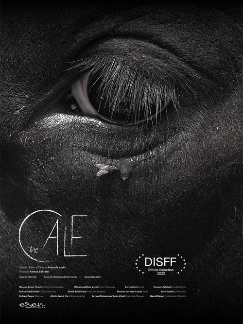 The Calf